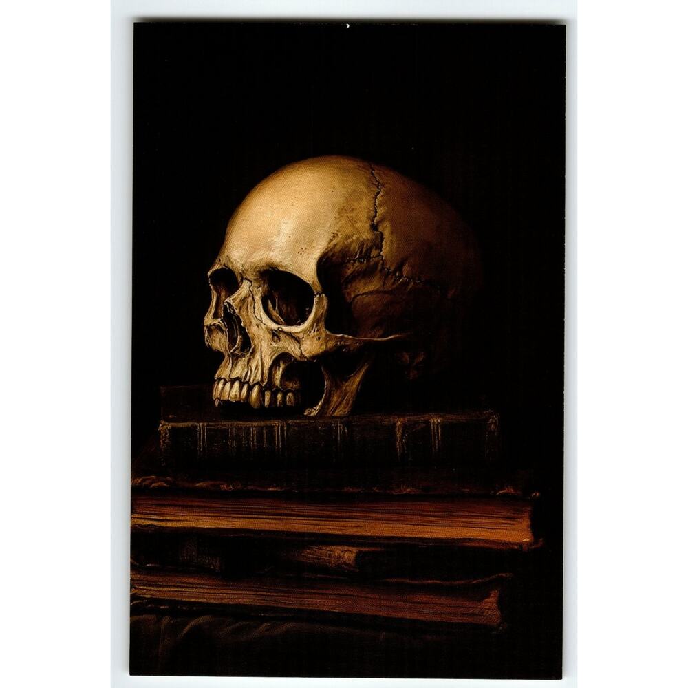 Vintage Photochrome Skull on Books Postcard 5.5x4 Unposted